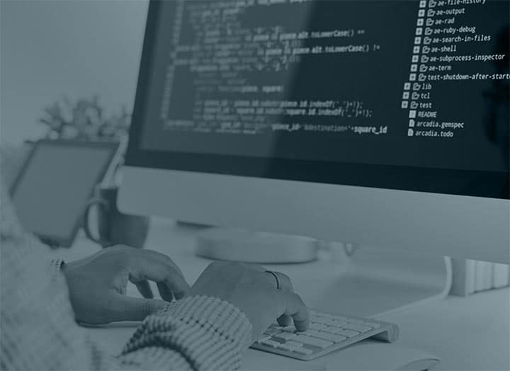 Software Development